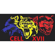 C-17 emblem