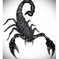 STES emblem