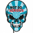 NSS emblem
