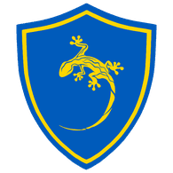 INVS_ emblem