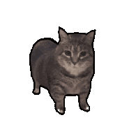GYTIS emblem