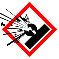 IBBI emblem
