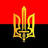 BV_UA emblem