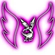 _NOMI emblem