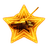 STAR1 emblem