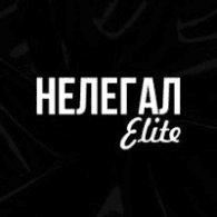NELEG emblem