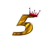 D_5 emblem