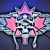 1CDS emblem