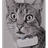 RADLR emblem