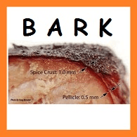 BARK emblem