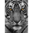 BTFF emblem