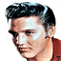 ELVIS emblem