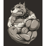 FLEXS emblem