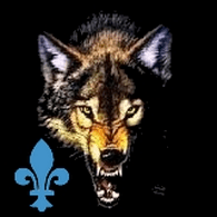 LE_QC emblem