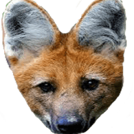 POPI emblem