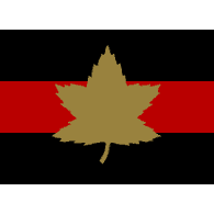 1CAB emblem