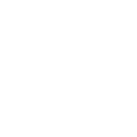 STFAD emblem