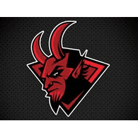 DVLD emblem