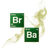 BR_BA emblem