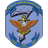 7_TH emblem