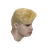 SHMPO emblem