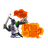 -WOS- emblem