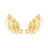 ANGLE emblem