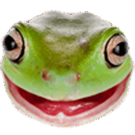 MERON emblem
