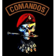 -CMD- emblem