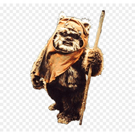 EWOK emblem
