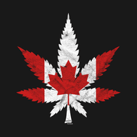 CNDN emblem