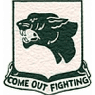 T-I-B emblem