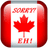 S0RRY emblem