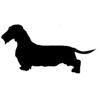 SDIP emblem