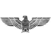 117PD emblem