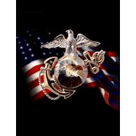 USFT emblem