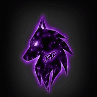 S-FOX emblem