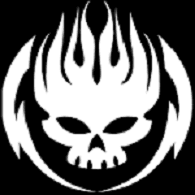 PLAYN emblem