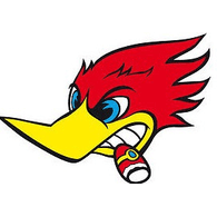 PWOOD emblem