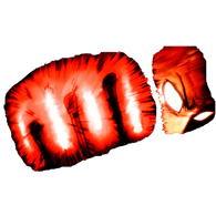 OPM1 emblem
