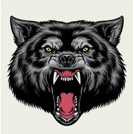 WLFF emblem