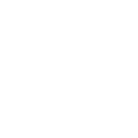 DOTT emblem