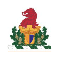 2-81 emblem