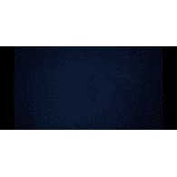 _XX_ emblem