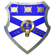 WLVS emblem