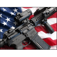 _AR15 emblem
