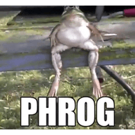 PHROG emblem