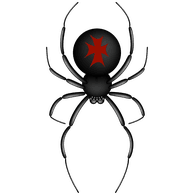 SPIDR emblem