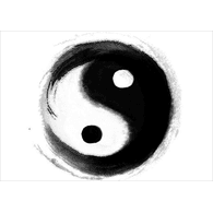 TAIJI emblem
