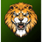 LSYN emblem